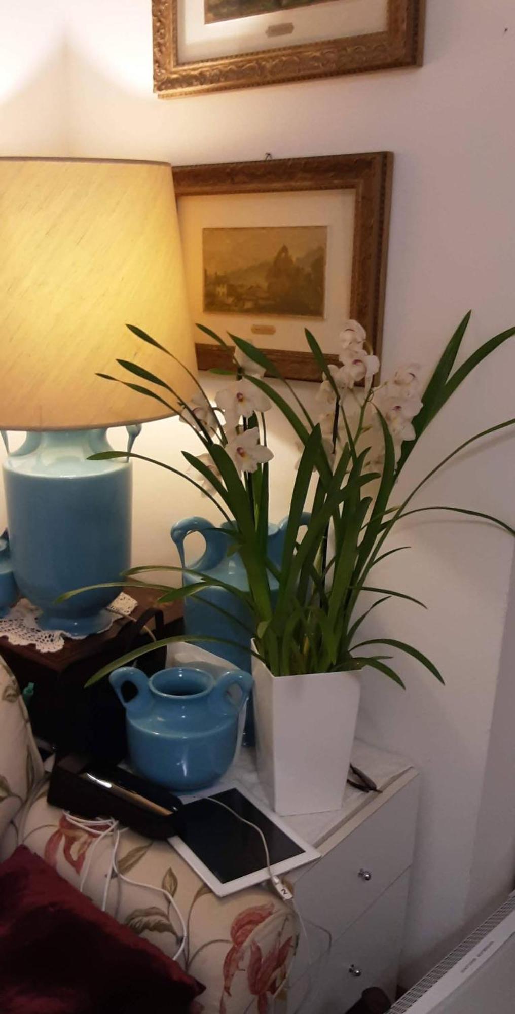 Tosca House 2 Bed & Breakfast วาเรนนา ภายนอก รูปภาพ